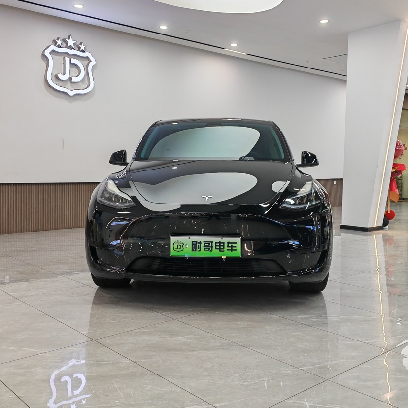 Tesla Model Y 2022 Tesla Model Y 2022 car image