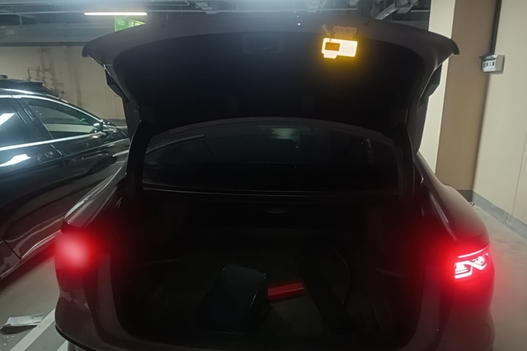 BYD Han 2024 immagine di auto #19