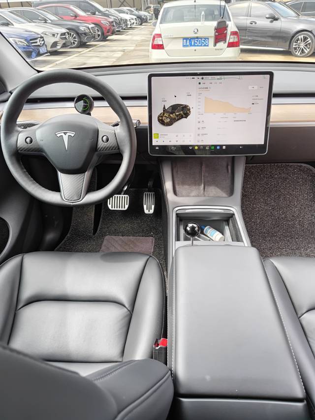 Tesla Model Y 2021 car image #6