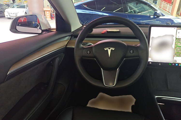 Tesla Model 3 2021 car image #15