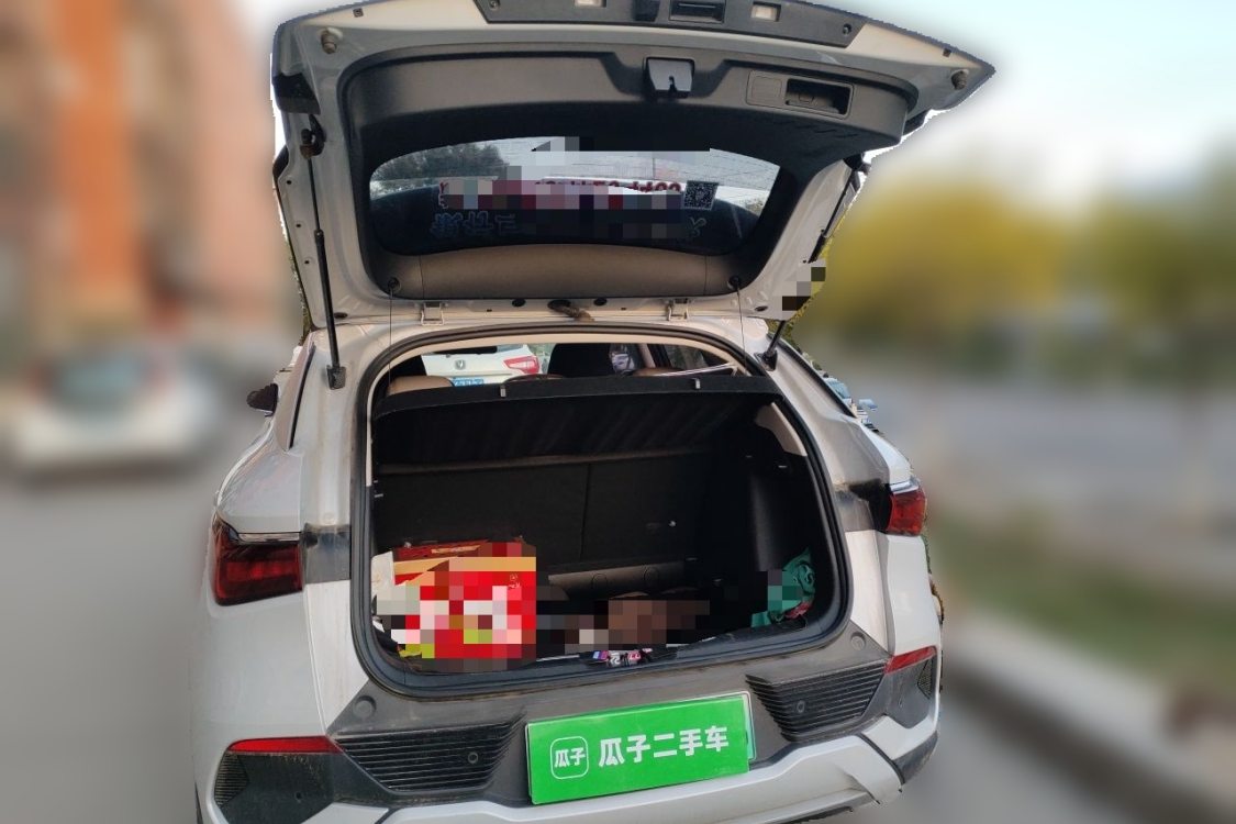 BYD Yuan Plus 2024 #8 BYD Yuan Plus 2024 immagine di auto #8