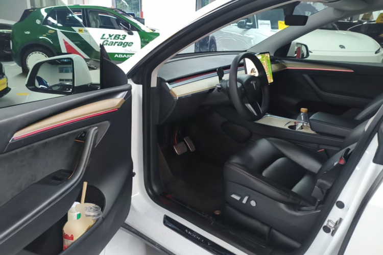 Tesla Model Y 2021 #16 Tesla Model Y 2021 car image #16