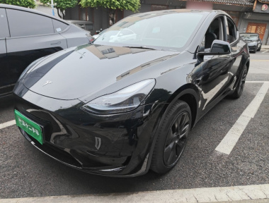 Tesla Model Y 2023 Tesla Model Y 2023 car image