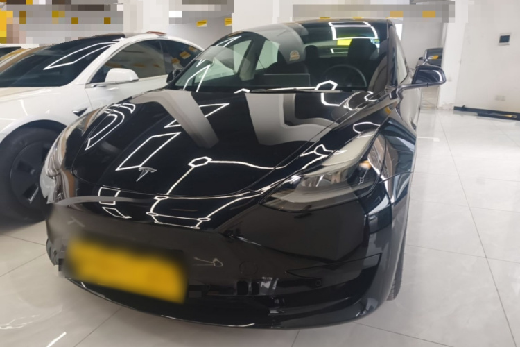 Tesla Model 3 2021 car image #2