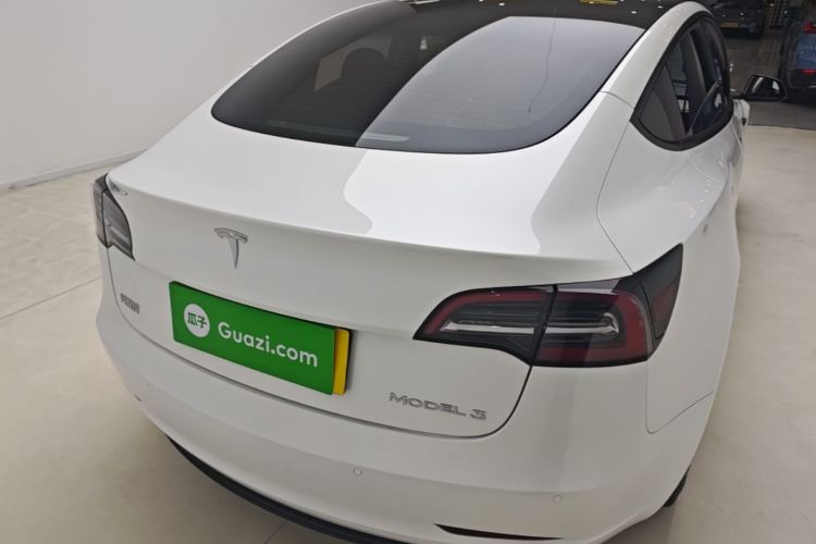 Tesla Model 3 2022 imagem de carro #6