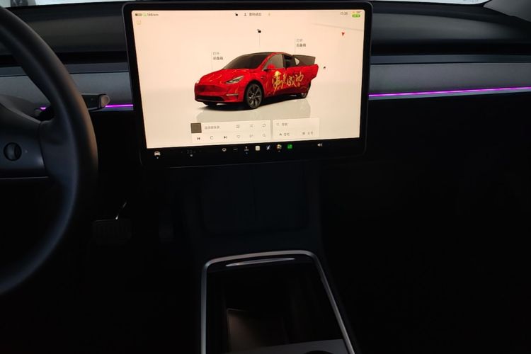 Tesla Model Y 2024 car image #13