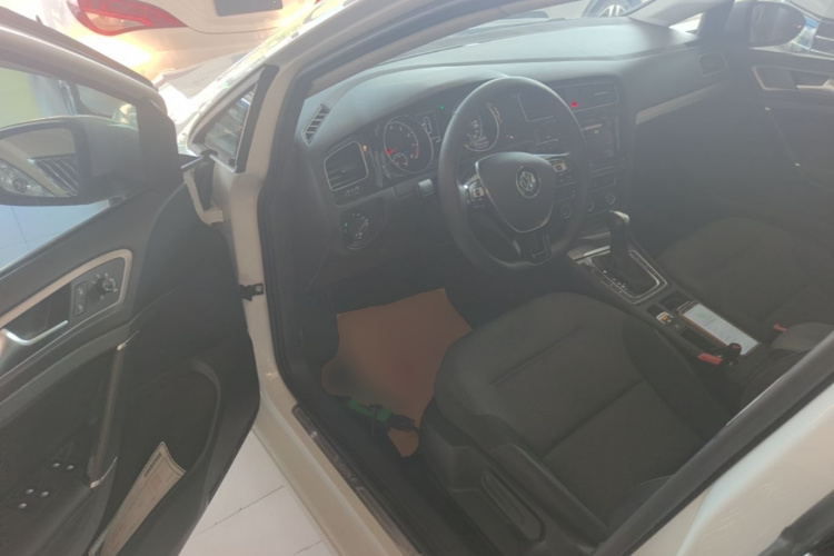 Volkswagen Golf 2019 car image #16