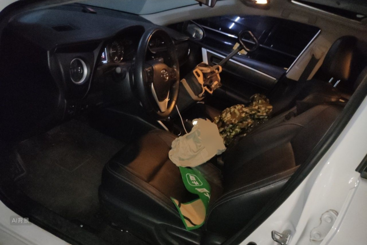 Toyota Corolla 2019 car image #17