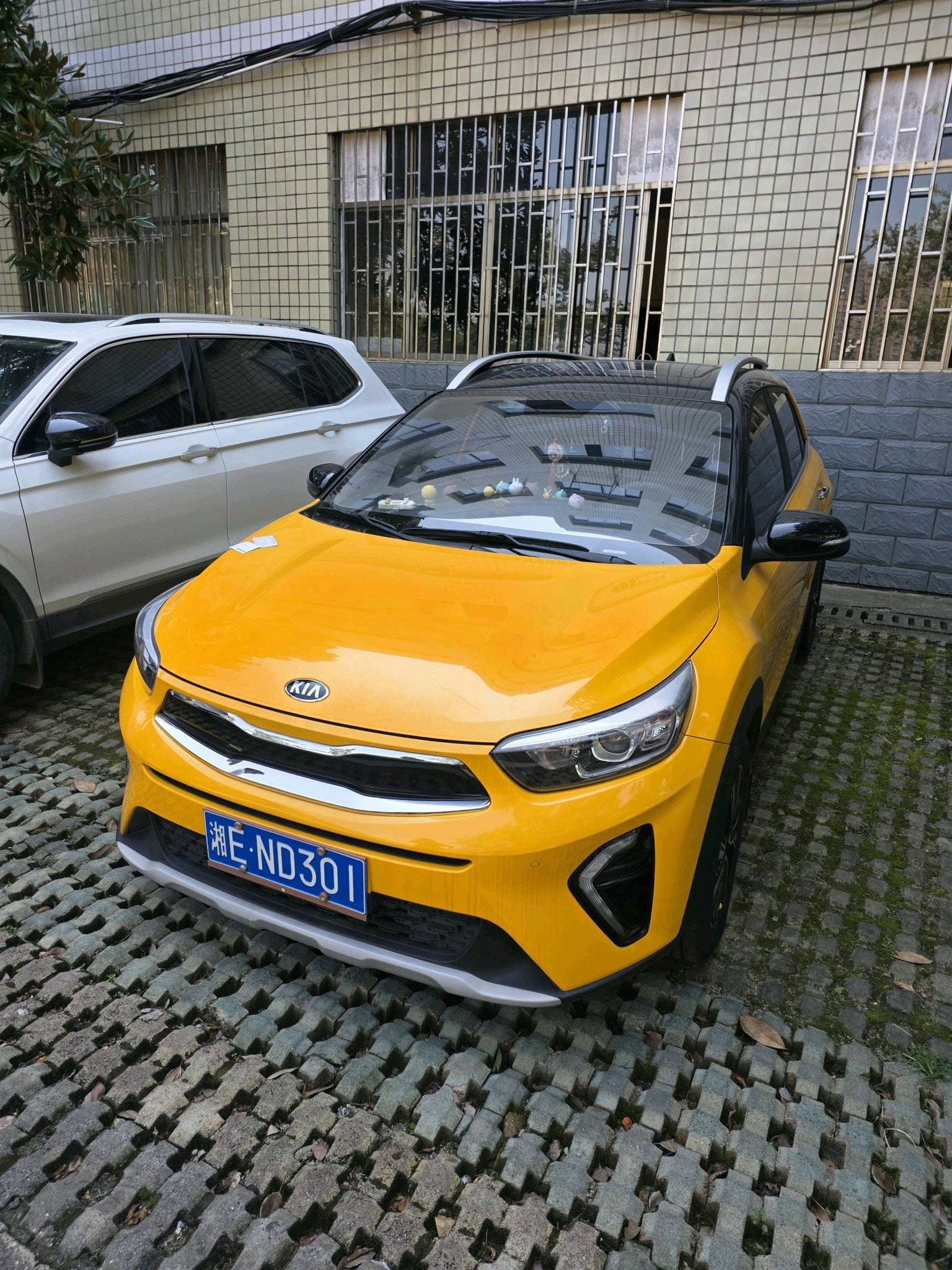 Kia KX1 2021 Kia KX1 2021 car image