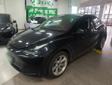 Tesla Model Y 2022 Tesla Model Y 2022 car image