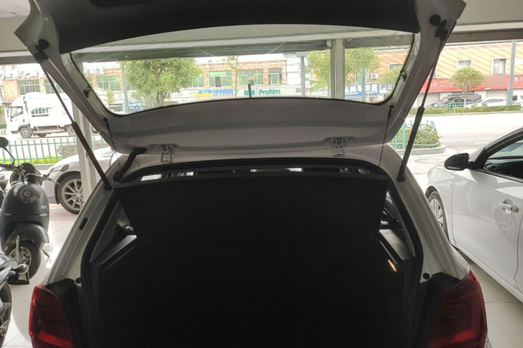 Volkswagen Polo 2017 car image #19