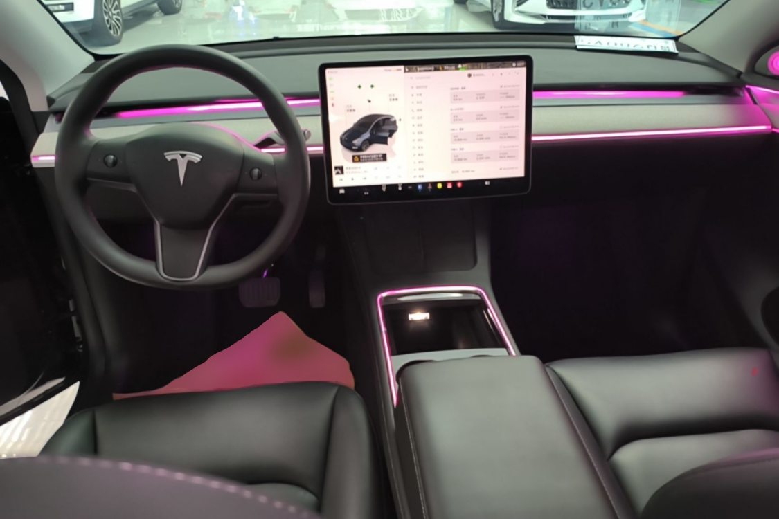 Tesla Model Y 2024 car image #10