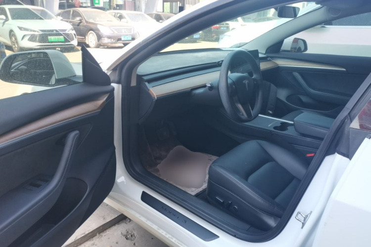 Tesla Model 3 2021 car image #16