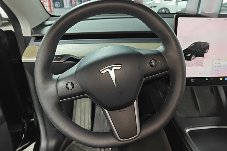 Tesla Model Y 2023 car image #11