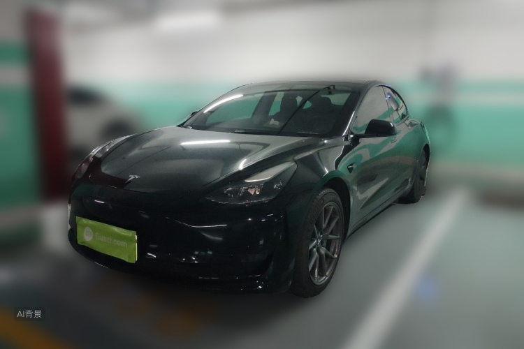 Tesla Model 3 2023 #2 Tesla Model 3 2023 car image #2