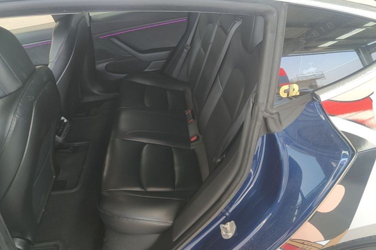 Tesla Model 3 2020 صورة سيارة #17