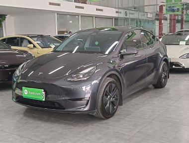 Tesla Model Y 2024 car image 