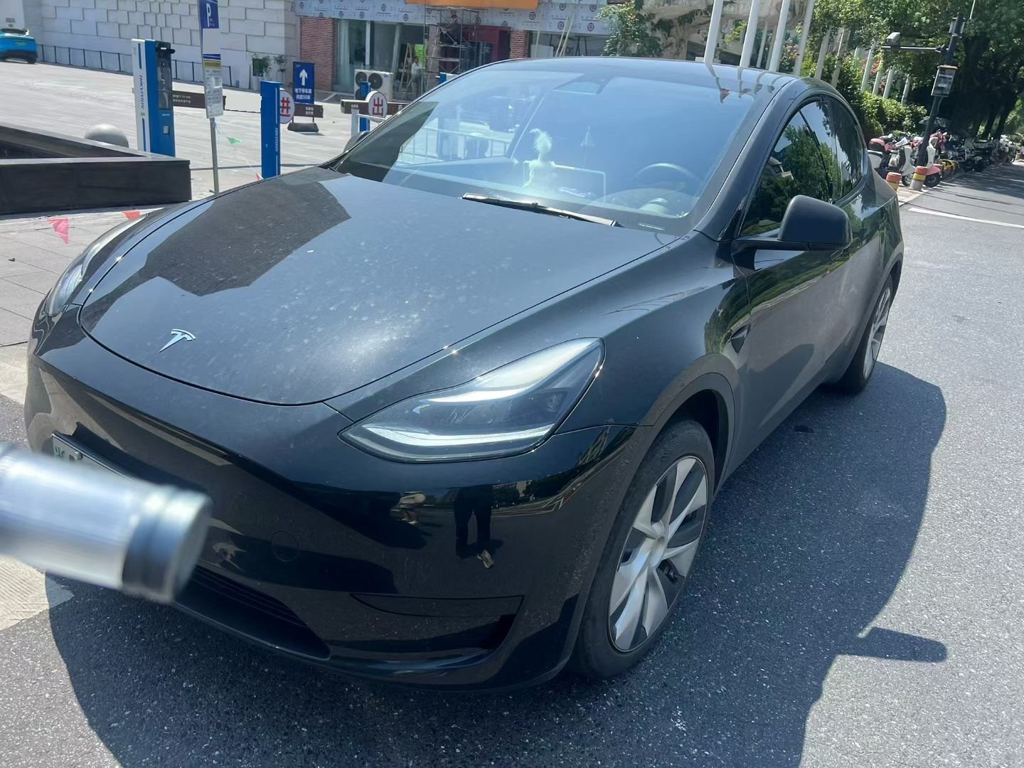 Tesla Model Y 2021 car image 