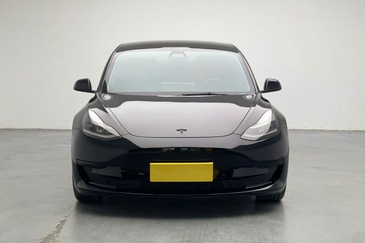Tesla Model 3 2021 car image #3
