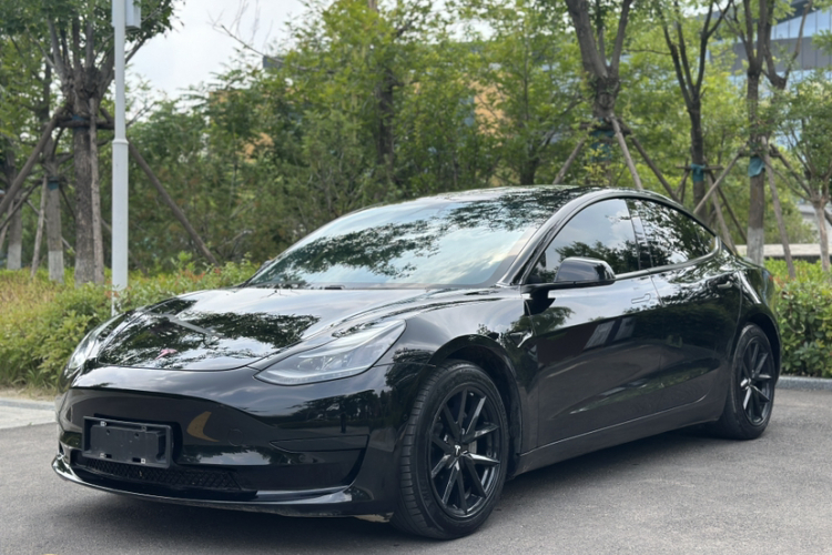Tesla Model 3 2021 #2 Tesla Model 3 2021 car image #2