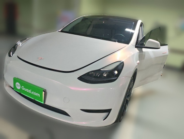 Tesla Model Y 2022 Tesla Model Y 2022 car image