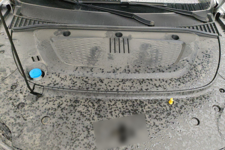 BYD Yuan Plus 2024 immagine di auto #22