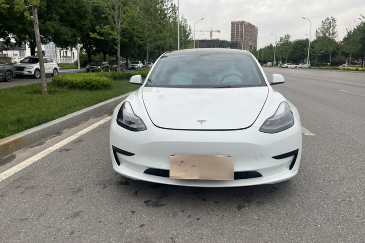 Tesla Model 3 2021 #3 Tesla Model 3 2021 car image #3
