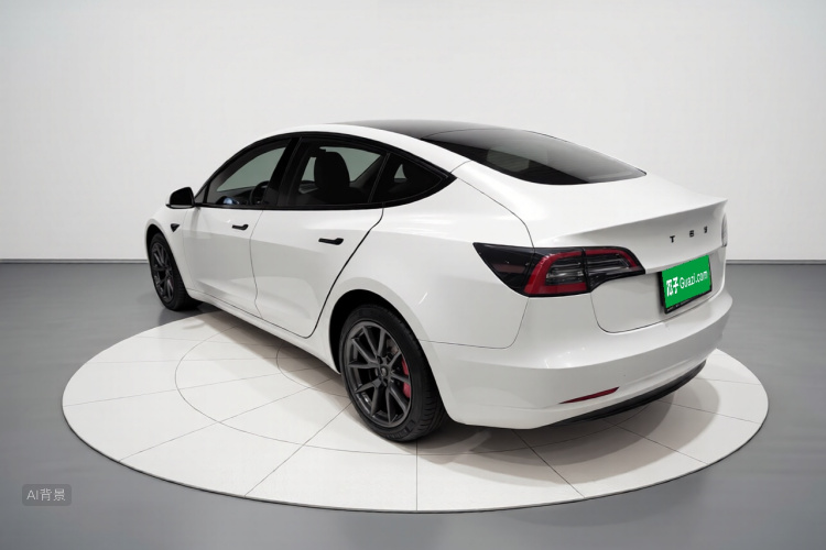 Tesla Model 3 2022 #5 Tesla Model 3 2022 car image #5
