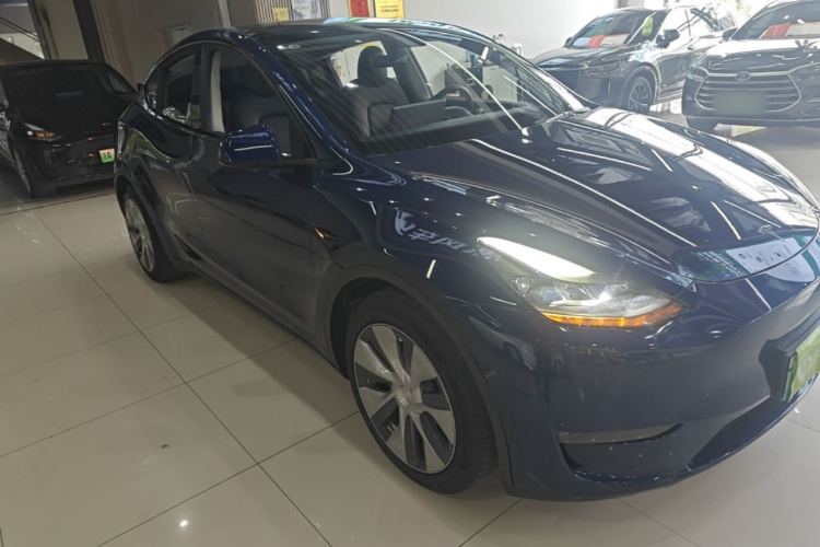 Tesla Model Y 2021 #6 Tesla Model Y 2021 car image #6