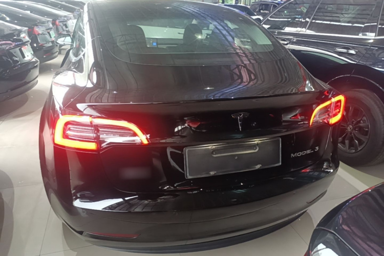 Tesla Model 3 2020 car image #6