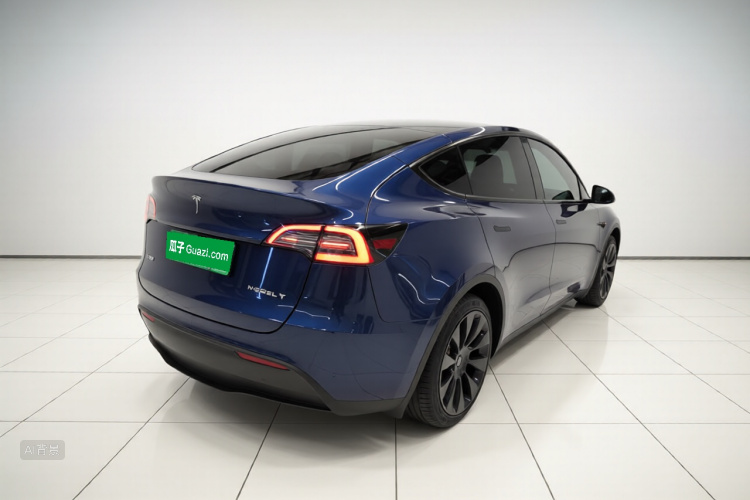 Tesla Model Y 2024 car image #7
