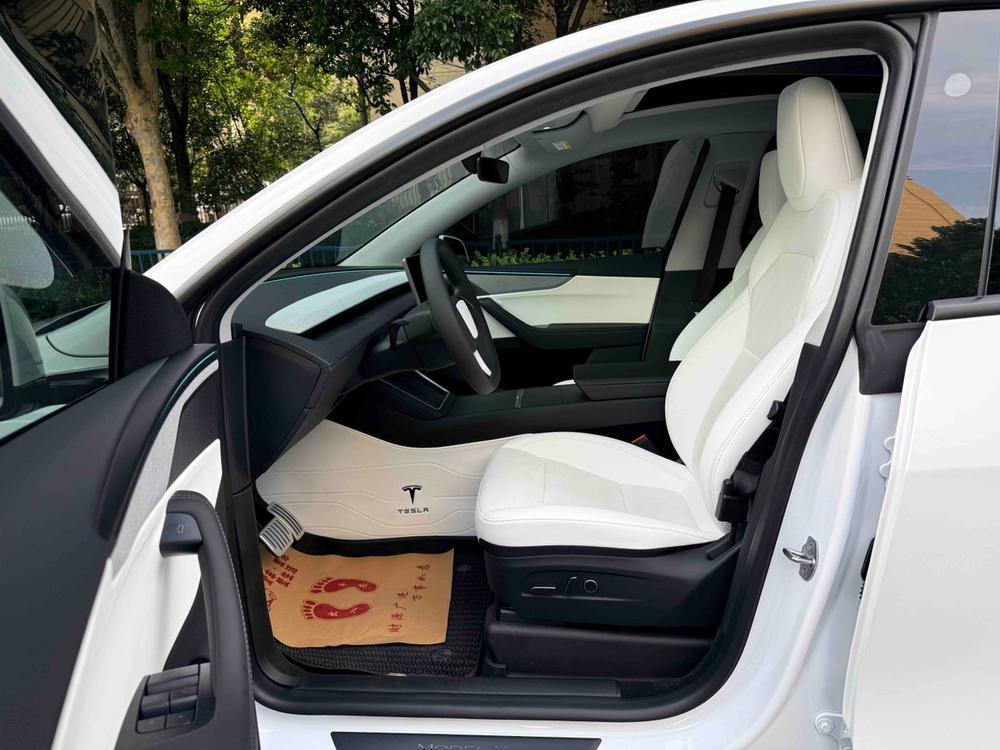 Tesla Model Y 2025 car image #13