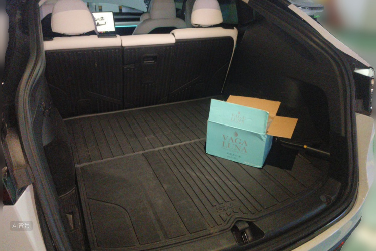 Tesla Model Y 2022 imagem de carro #21