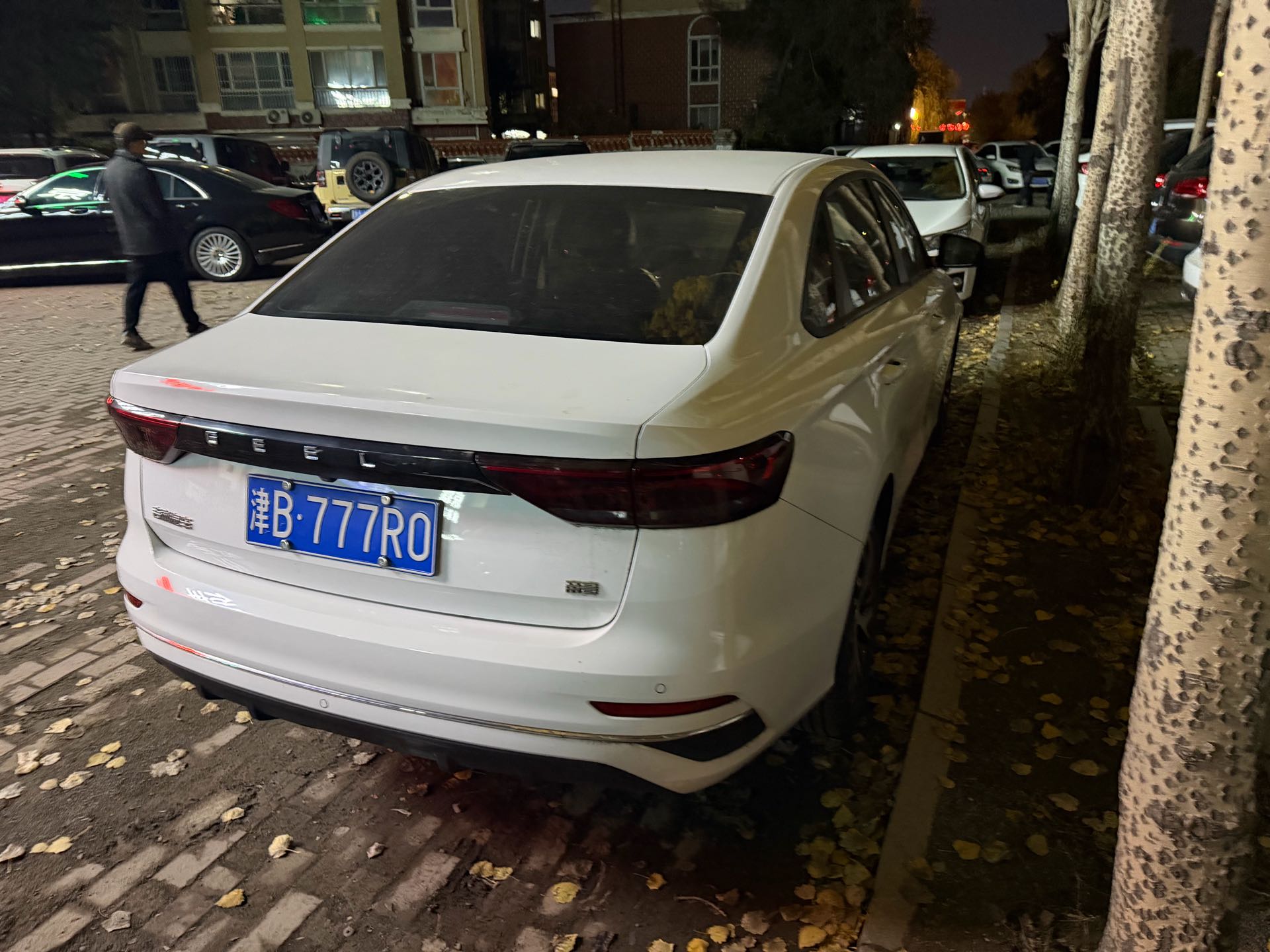 GEELY Emgrand 2023 صورة سيارة #9