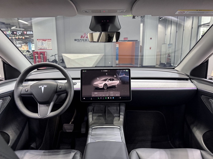 Tesla Model Y 2024 car image #9