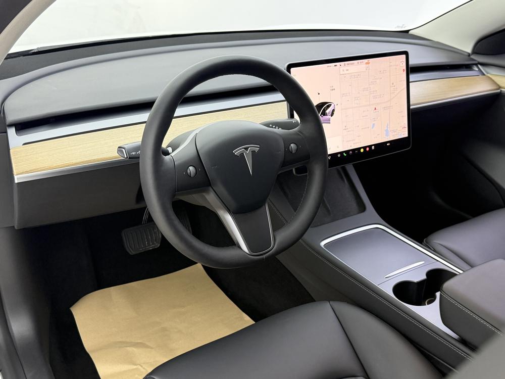 Tesla Model 3 2020 car image #10