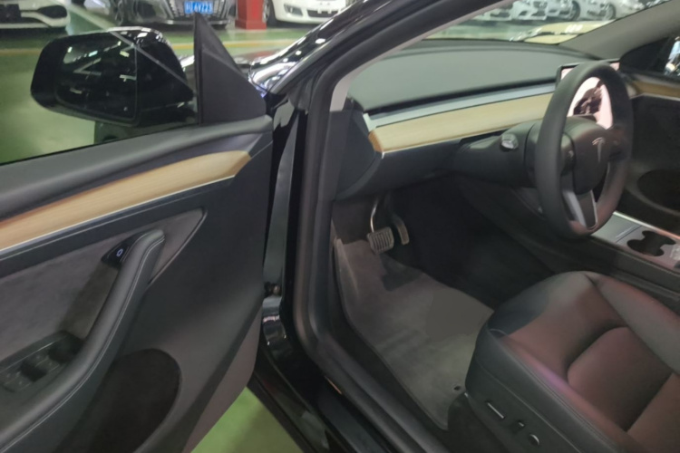 Tesla Model Y 2022 car image #16