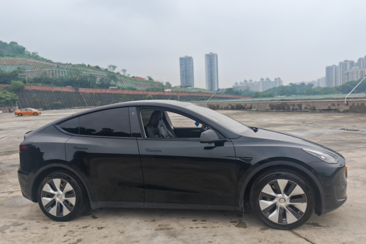 Tesla Model Y 2021 immagine di auto #6