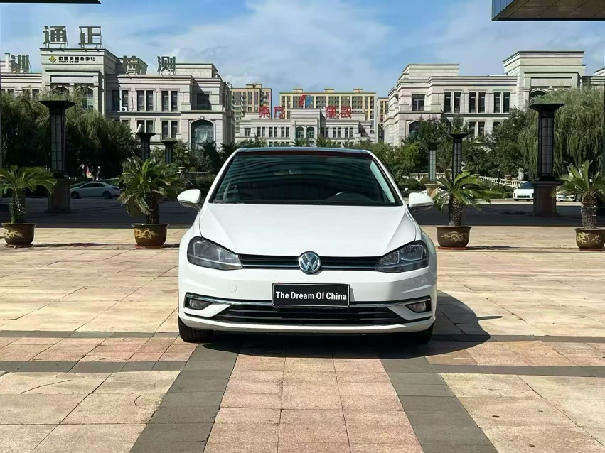 Volkswagen Golf 2019 #2 Volkswagen Golf 2019 car image #2