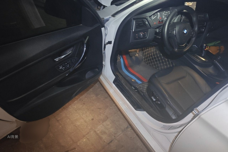 BMW 3 Series 2017 car image #18