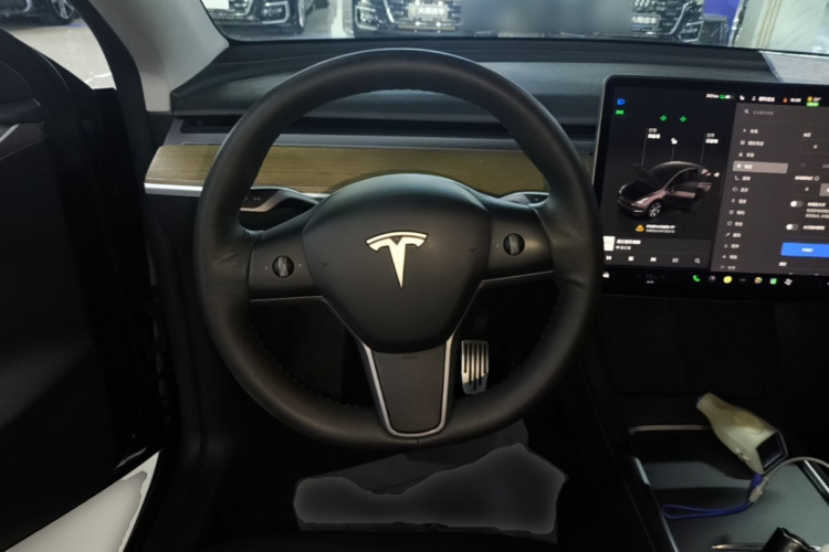 Tesla Model Y 2022 car image #11