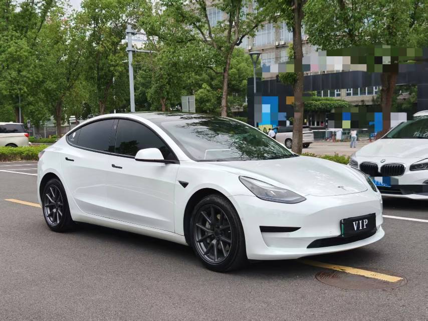 Tesla Model 3 2022 #3 Tesla Model 3 2022 car image #3