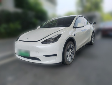 Tesla Model Y 2023 Tesla Model Y 2023 car image