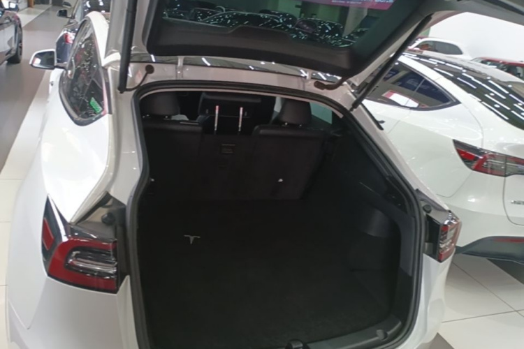 Tesla Model Y 2021 car image #19