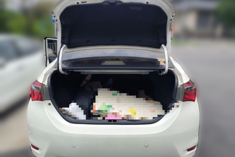 Toyota Corolla 2017 car image #17