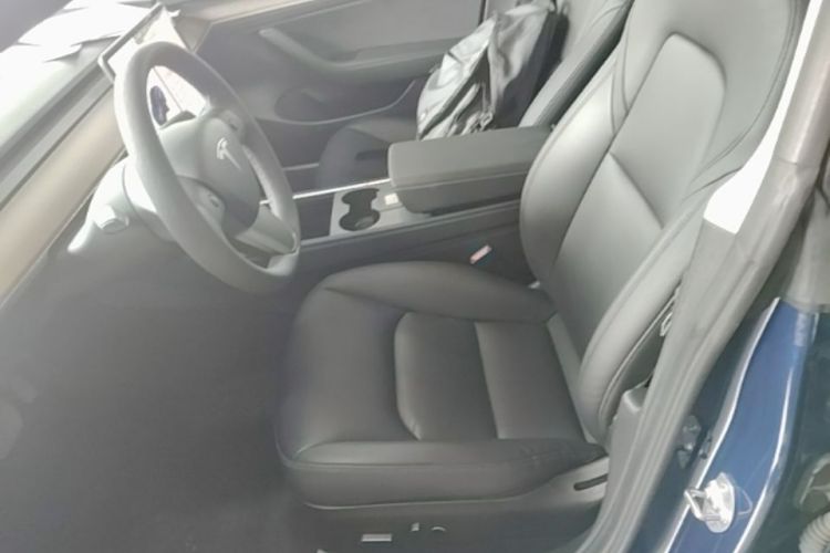 Tesla Model 3 2021 car image #19