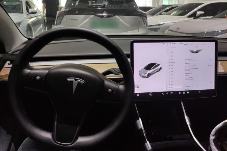 Tesla Model 3 2020 #10 Tesla Model 3 2020 car image #10