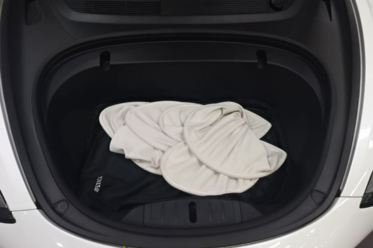 Tesla Model 3 2020 car image #20