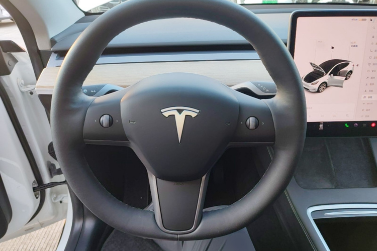 Tesla Model Y 2021 car image #11