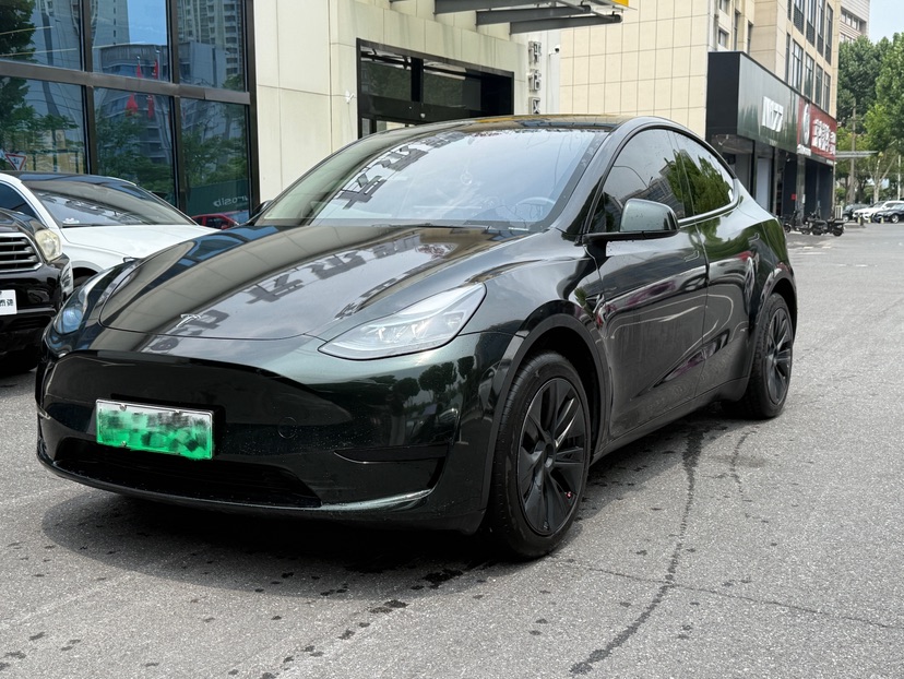 Tesla Model Y 2024 car image 